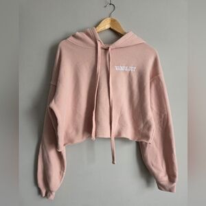 Vance Joy Bella Canvas Pink Fleece Crop Hoodie Sweatshirt Casual M